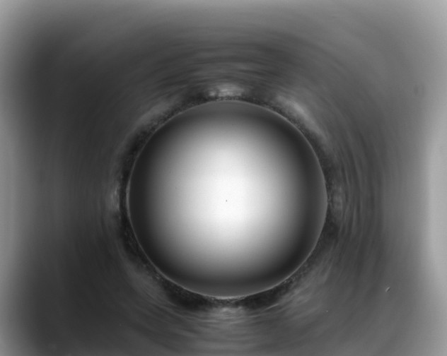 X0000088700543200706071542