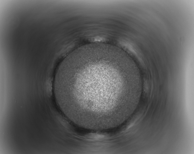 X0000088700545200706071542