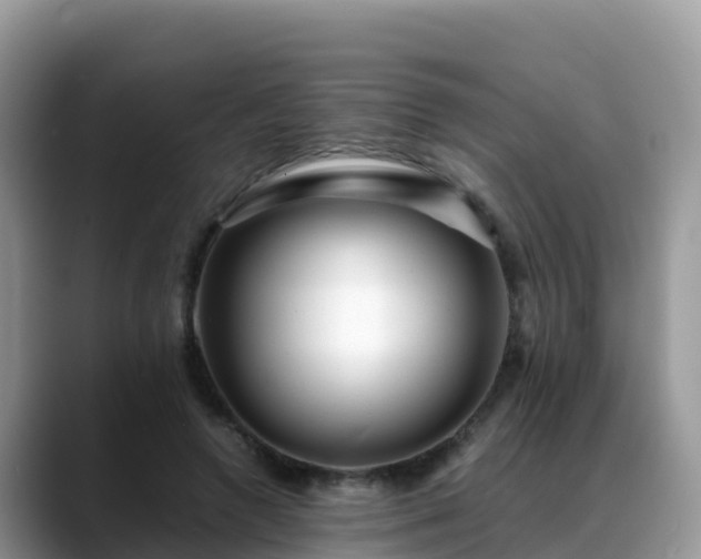 X0000088700546200706071542