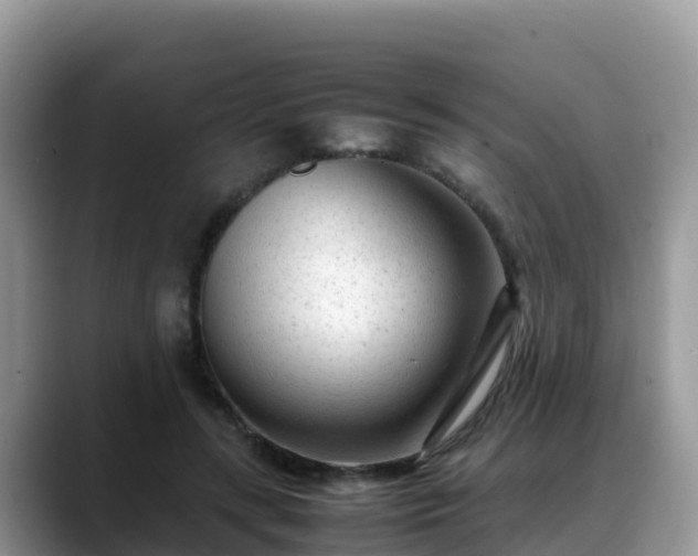X0000088700547200706071542