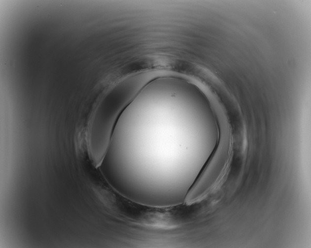 X0000088700552200706071542