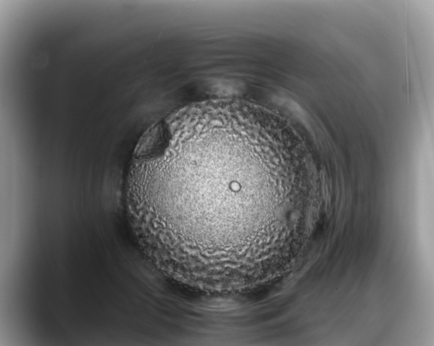 X0000088700553200706071542