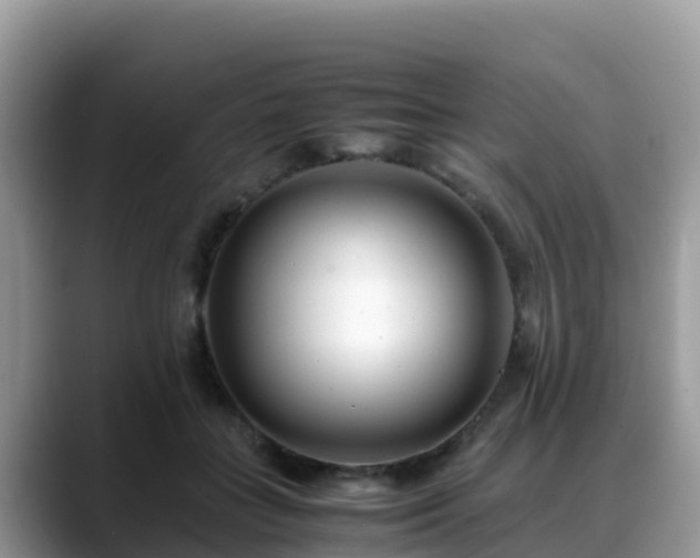 X0000088700555200706071542