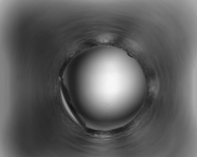 X0000088700559200706071542