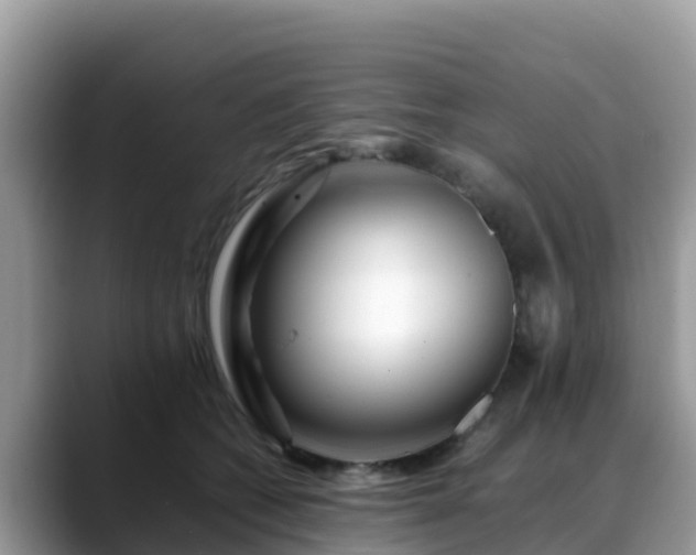 X0000088700562200706071542