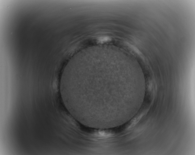 X0000088700565200706071542