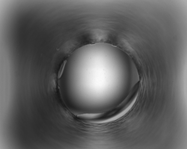 X0000088700570200706071542