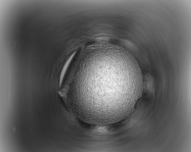 X0000088700573200706071542