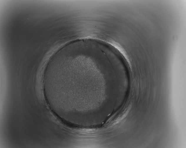 X0000088700577200706071541