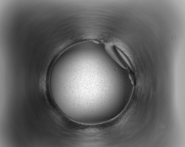 X0000088700578200706071541