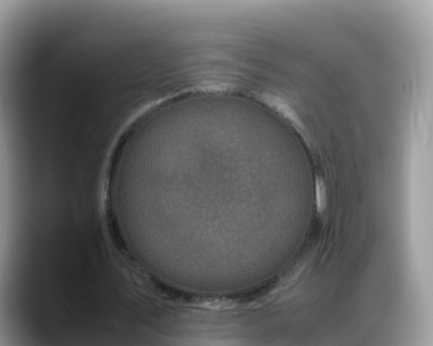 X0000088700579200706071541