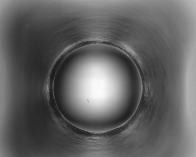 X0000088700580200706071541