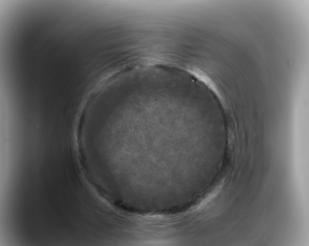 X0000088700581200706071541