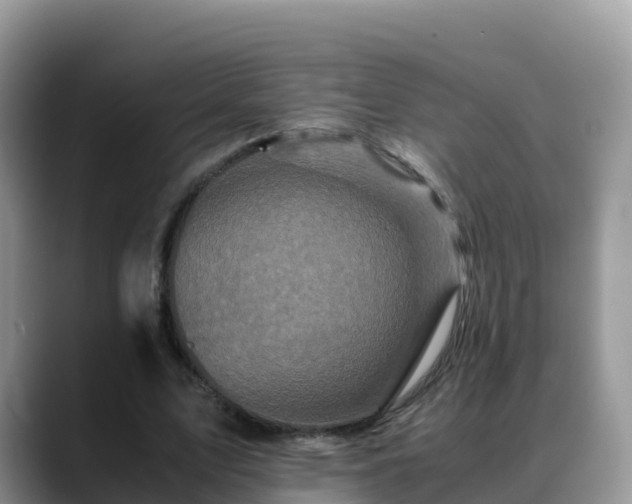X0000088700583200706071541