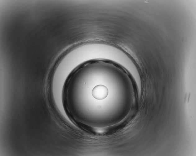 X0000088700584200706071541