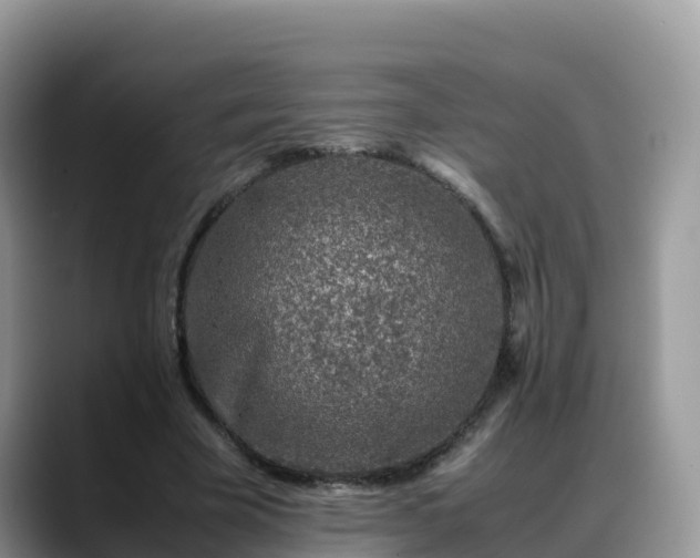X0000088700585200706071541