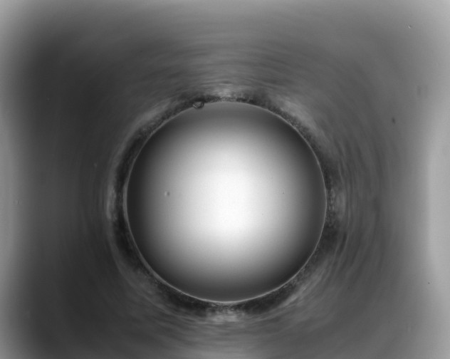 X0000088700587200706071541