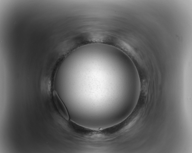 X0000088700589200706071541
