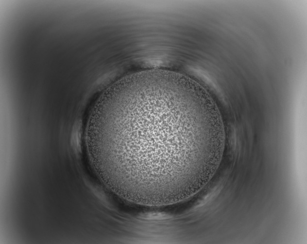 X0000088700590200706071541
