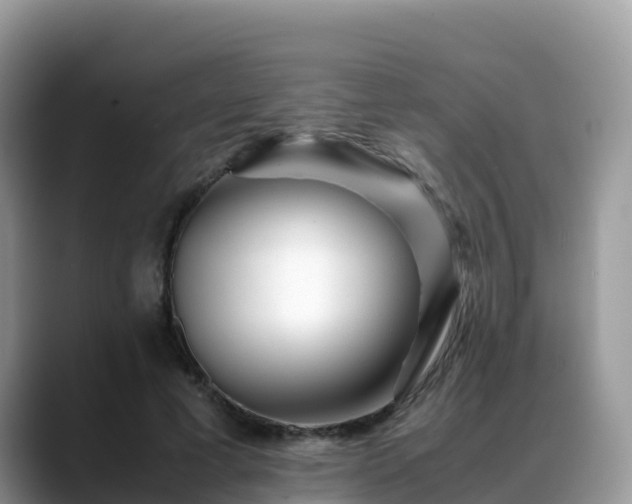X0000088700593200706071541