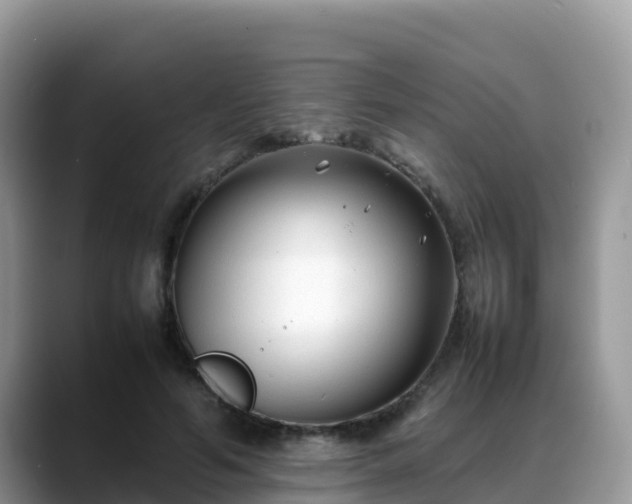 X0000088700594200706071541