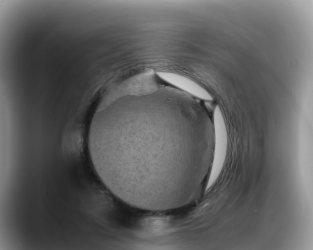 X0000088700595200706071541