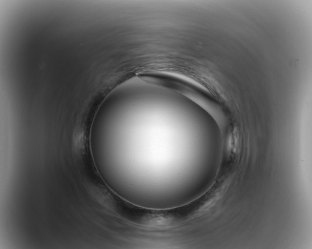 X0000088700597200706071541