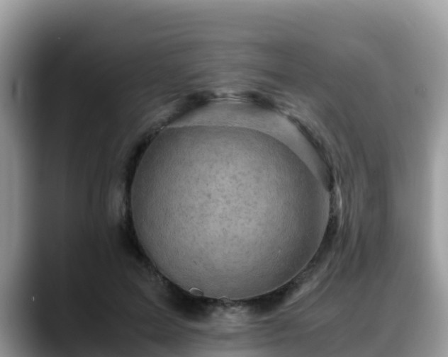 X0000088700599200706071541