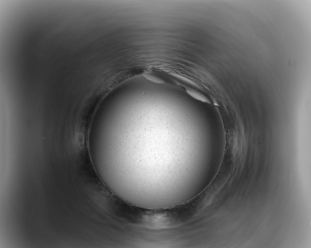 X0000088700602200706071541