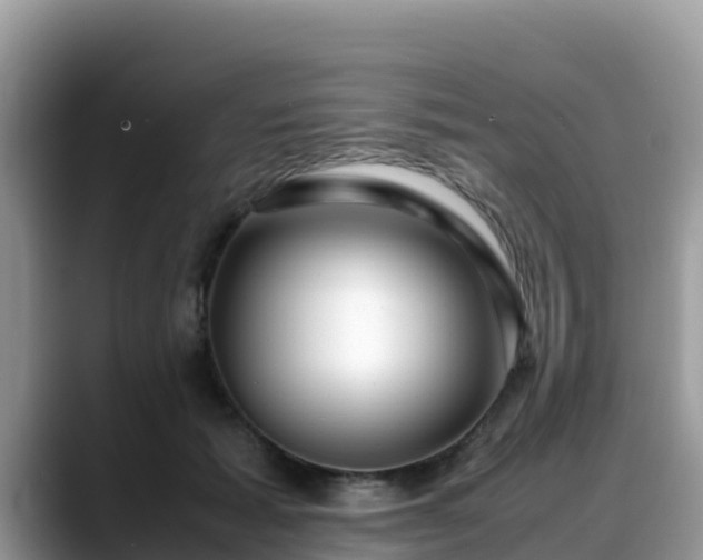 X0000088700605200706071541