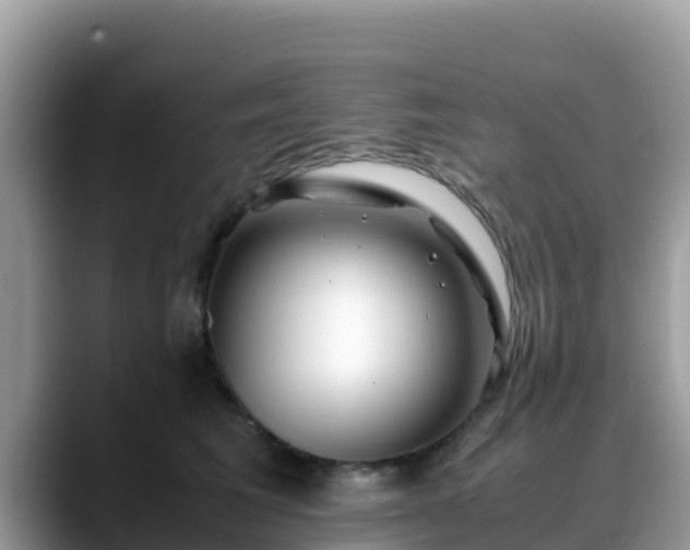 X0000088700613200706071541