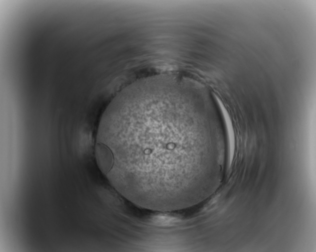X0000088700614200706071541