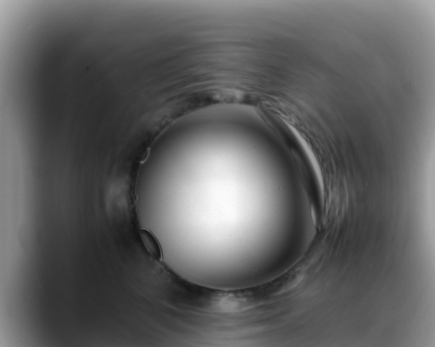 X0000088700616200706071541