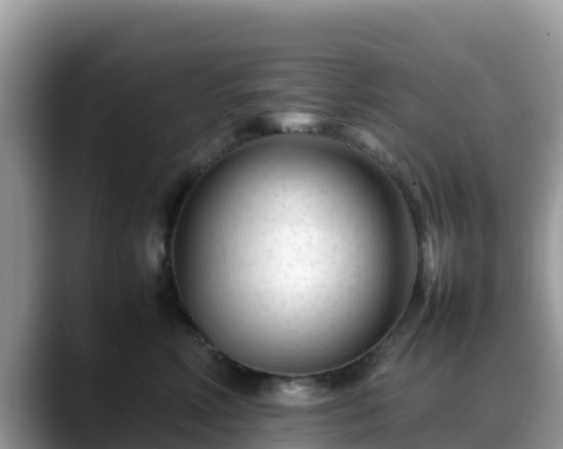X0000088700618200706071541
