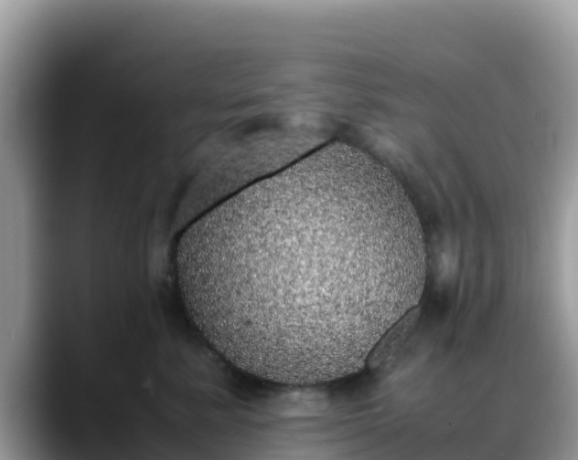 X0000088700619200706071541