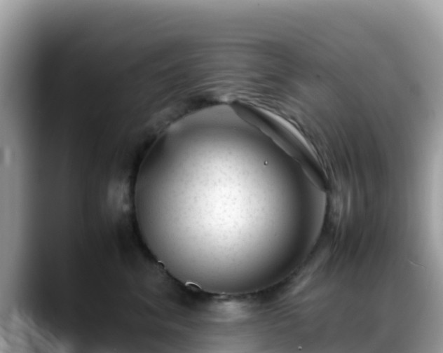 X0000088700620200706071541