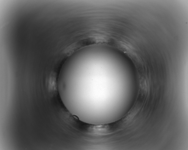 X0000088700622200706071541