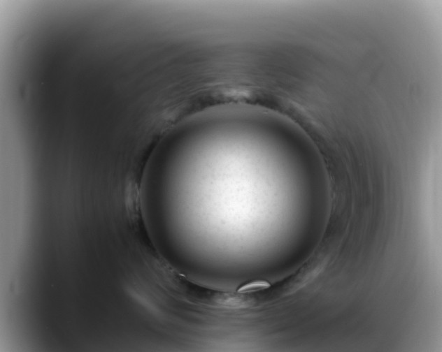 X0000088700624200706071541