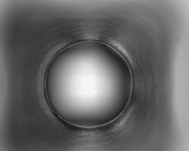 X0000088700625200706071540