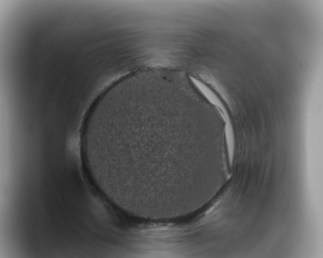 X0000088700626200706071540