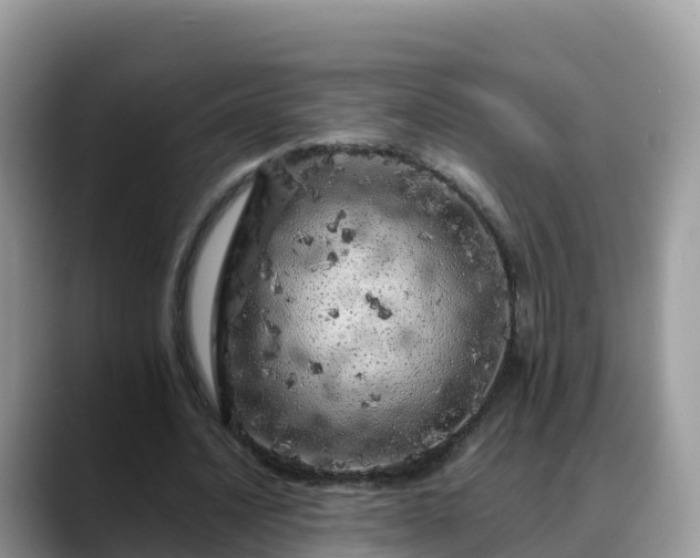 X0000088700628200706071540