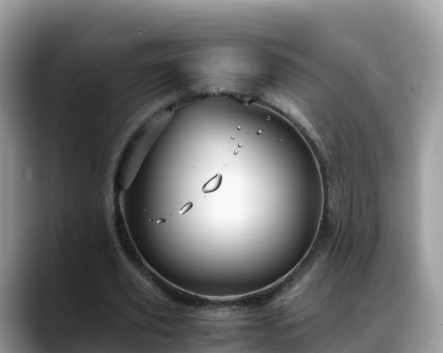 X0000088700629200706071540