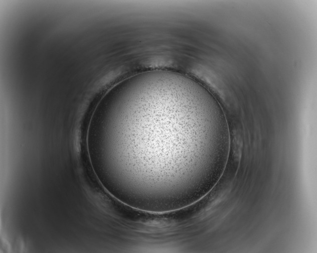 X0000088700631200706071540