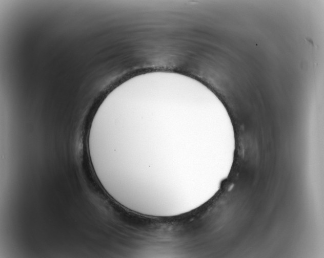 X0000088700632200706071540