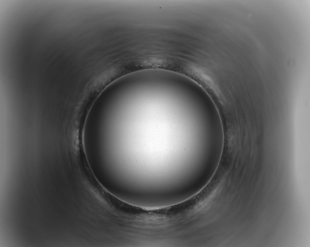 X0000088700633200706071540