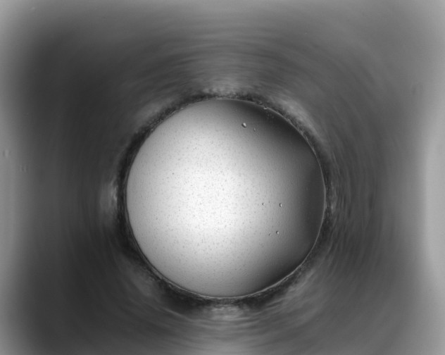 X0000088700636200706071540