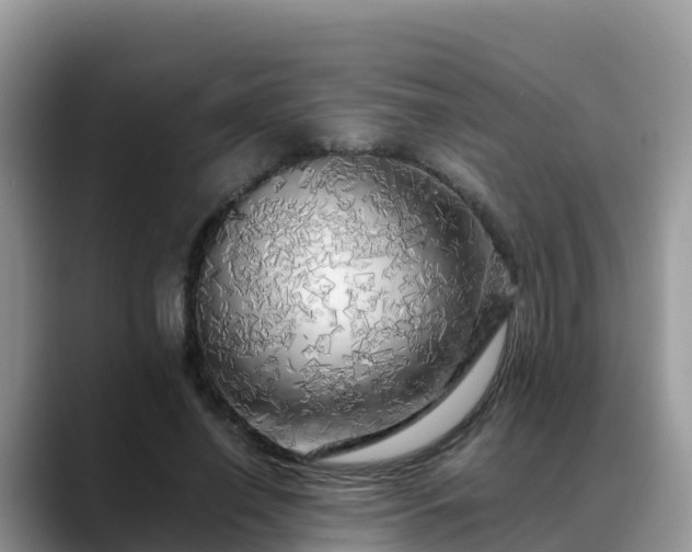 X0000088700638200706071540