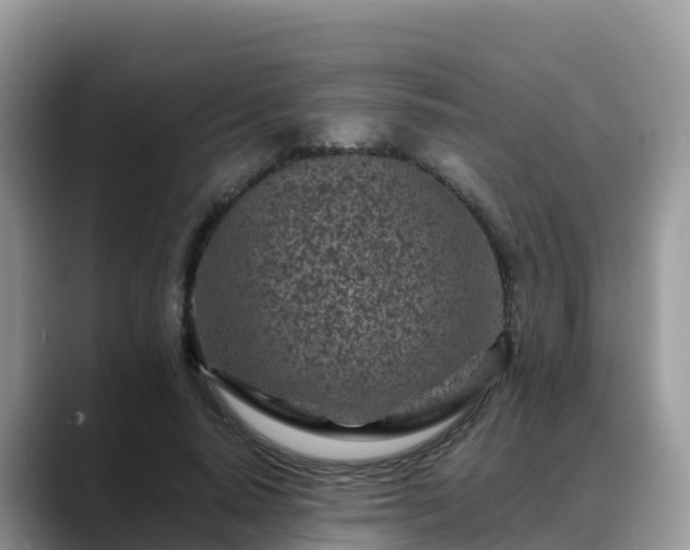 X0000088700640200706071540