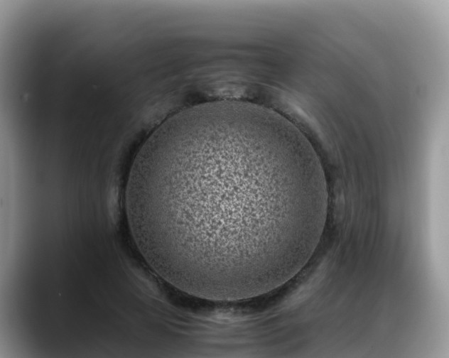 X0000088700641200706071540