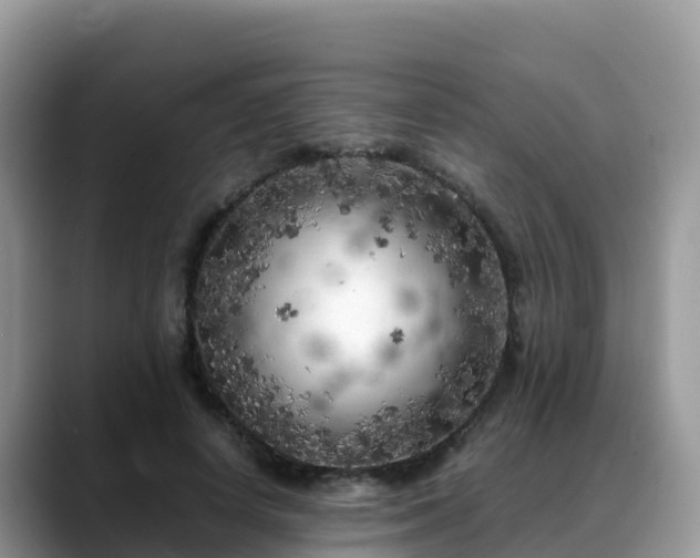 X0000088700642200706071540